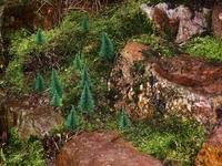 Das Naturdiorama